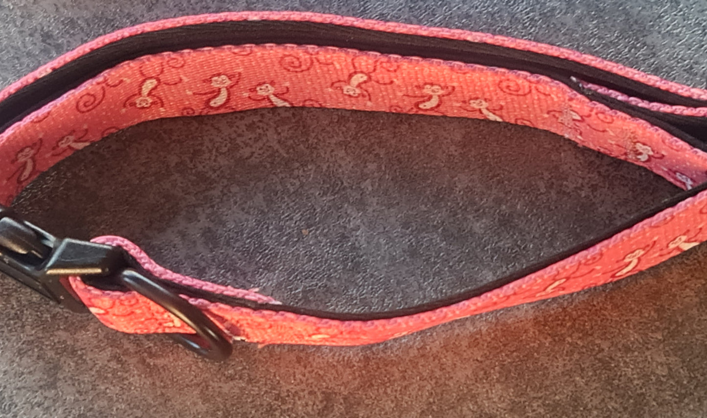 Harness, Leash and Collars Sets