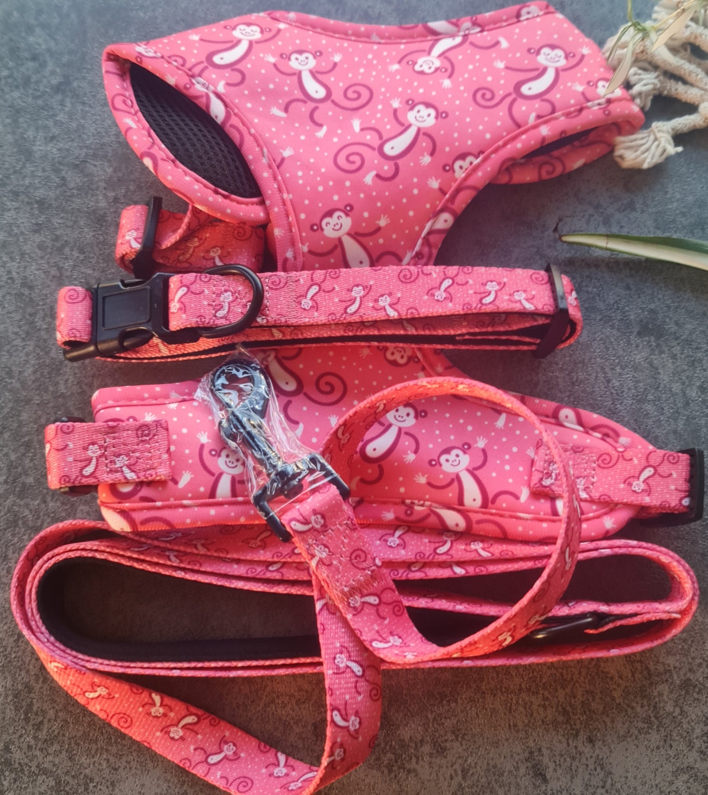 Harness, Leash and Collars Sets